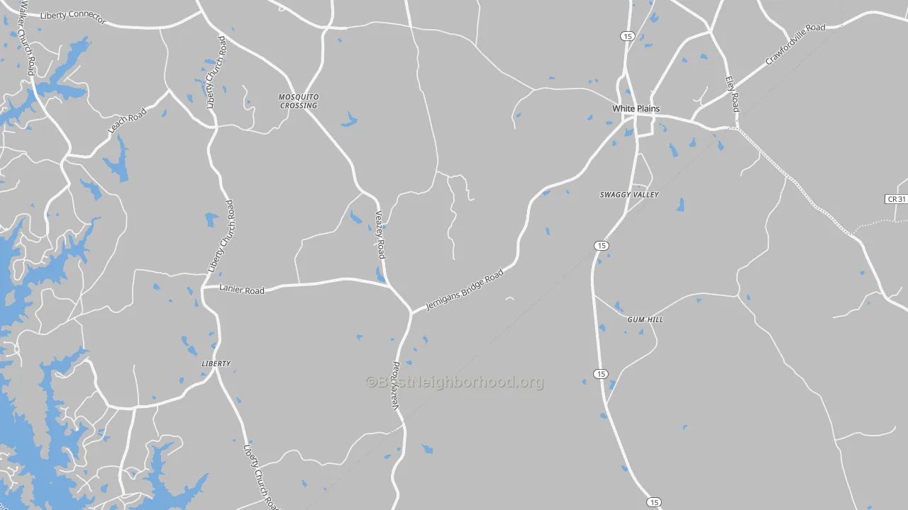 Transit Grade map of White Plains, GA