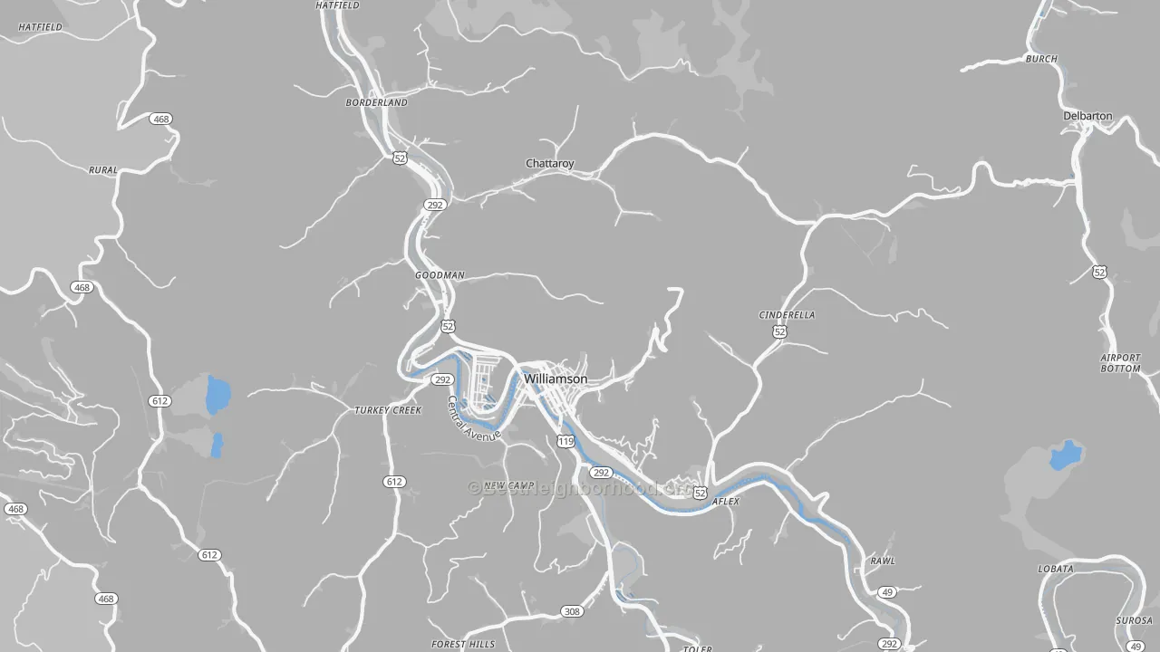 Transit Grade map of Williamson, WV