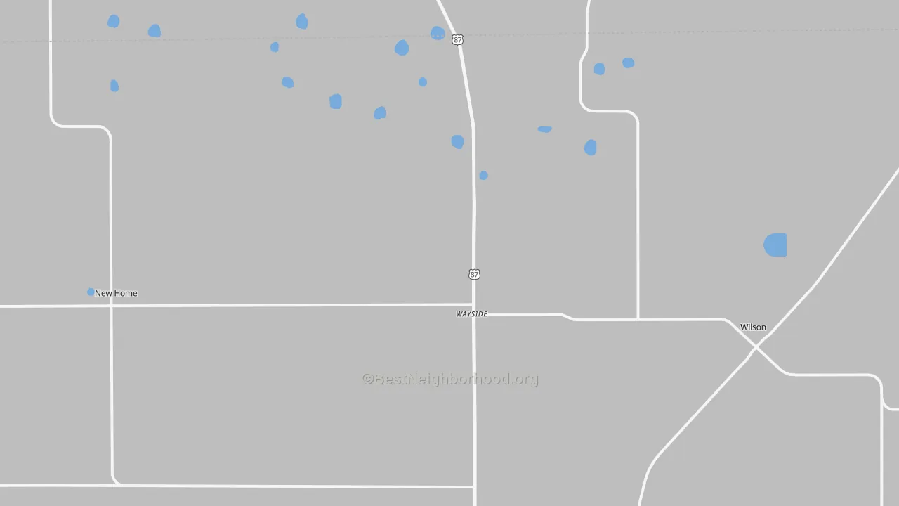 Transit Grade map of Wilson, TX