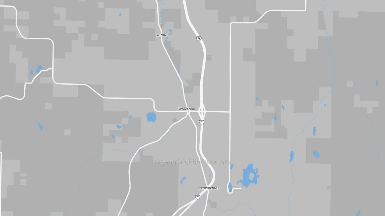 Transit Grade map of Wolverine, MI