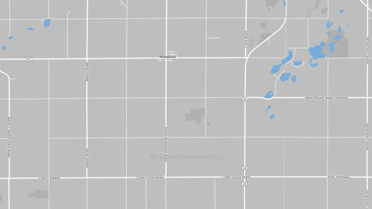 Transit Grade map of Woodland, MI