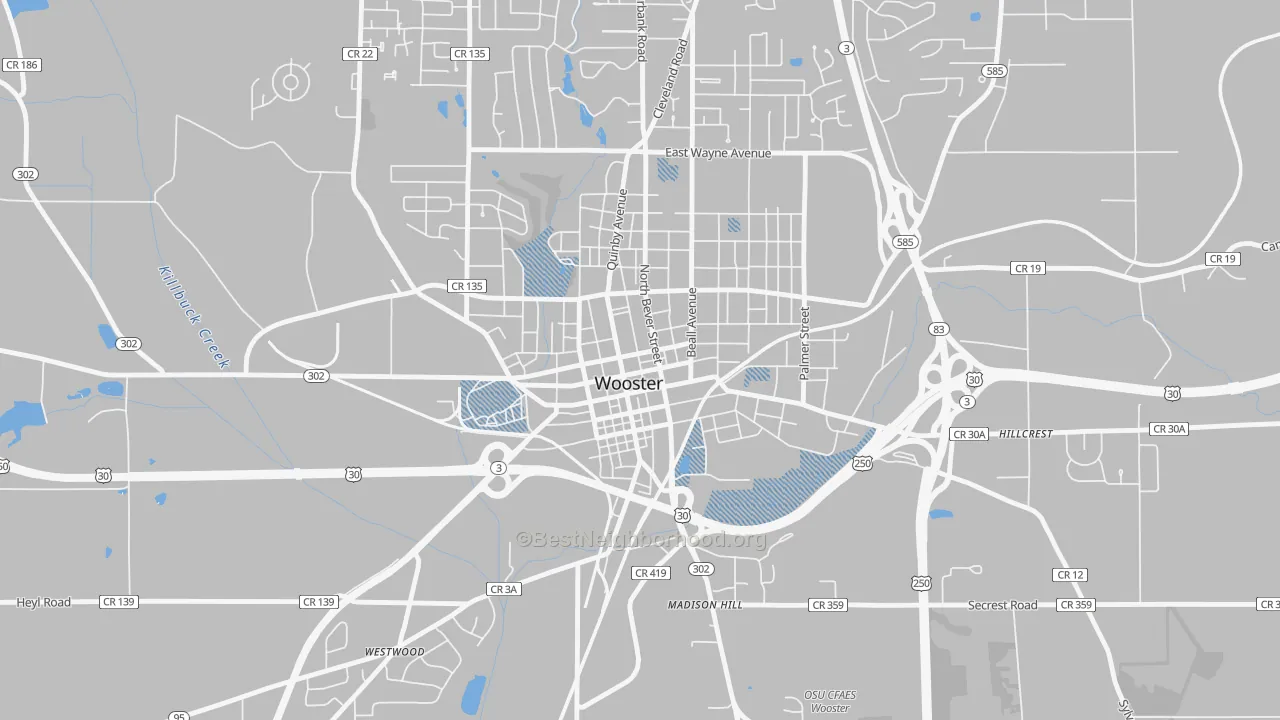 Transit Grade map of Wooster Public Square Historic District, Wooster, OH