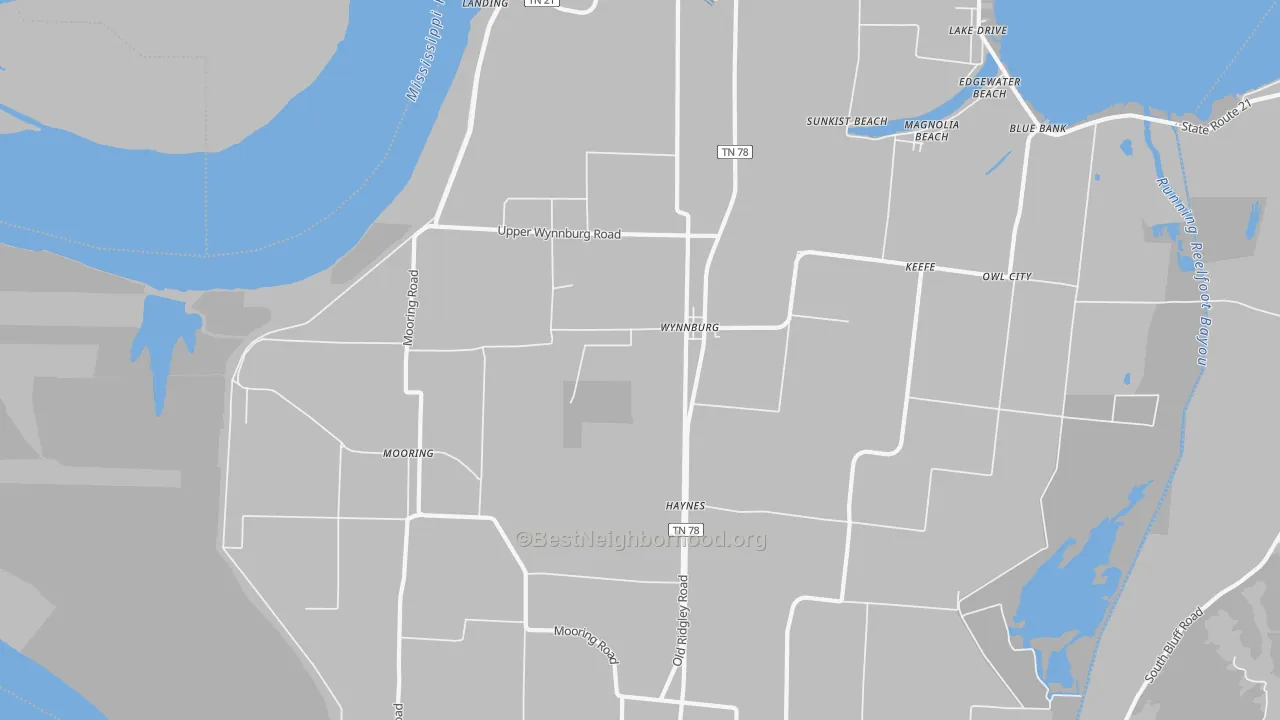 Transit Grade map of Wynnburg, TN