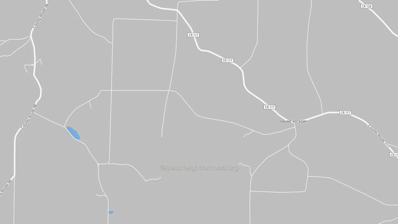 Transit Grade map of Young Hickory, NY