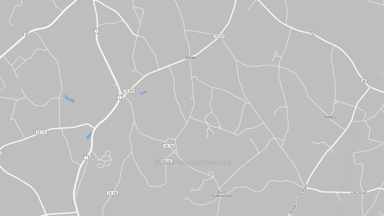 Transit Grade map of Zebina, GA