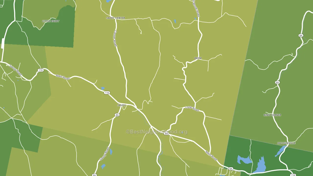 01256, MA block-group voter-turnout map