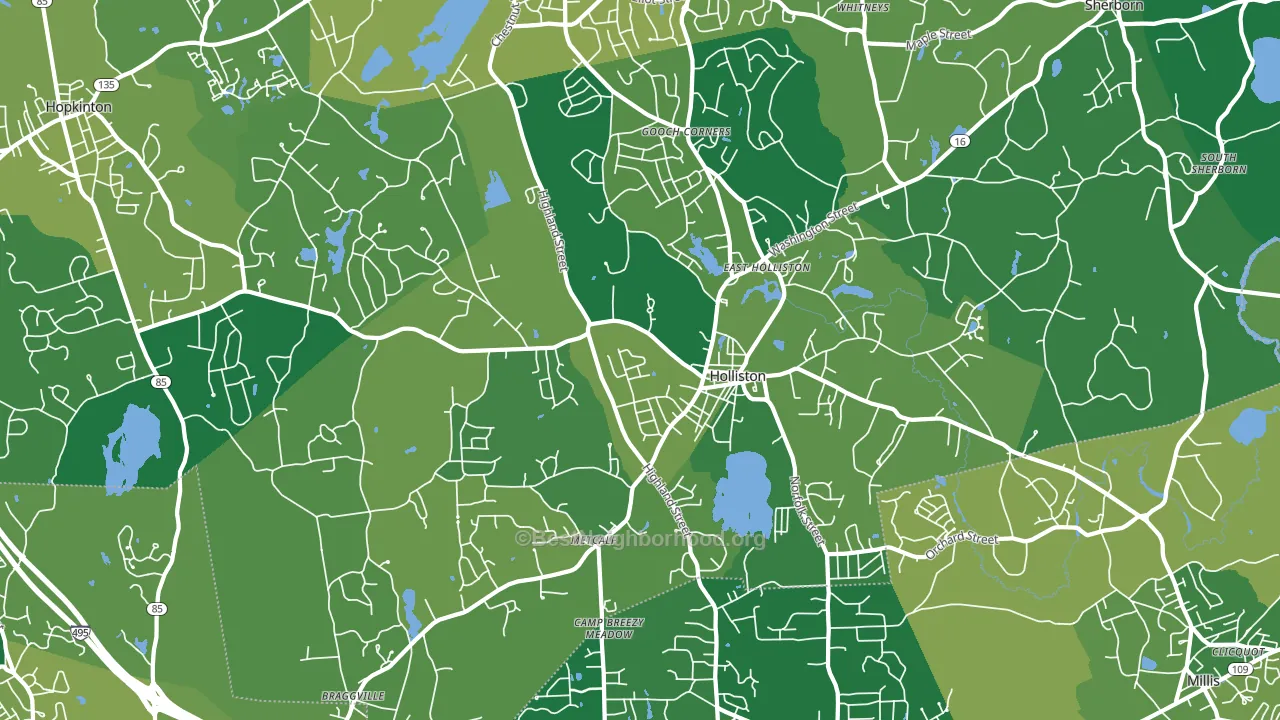 01746, MA block-group voter-turnout map