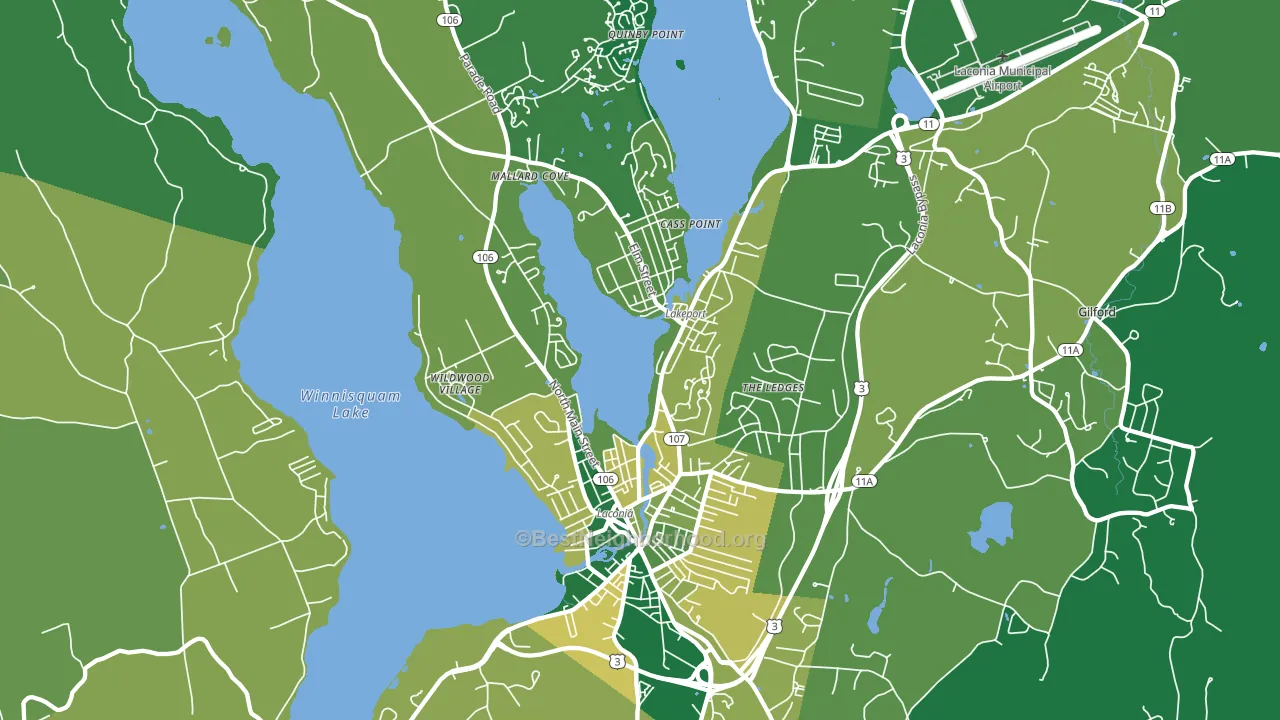 03246, NH block-group voter-turnout map
