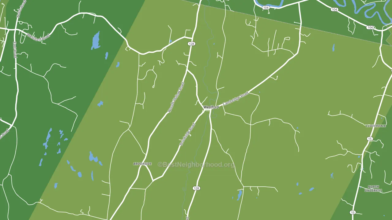 05494, VT block-group voter-turnout map