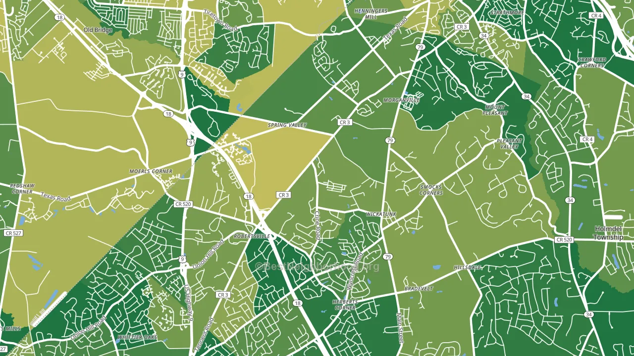 07751, NJ block-group voter-turnout map