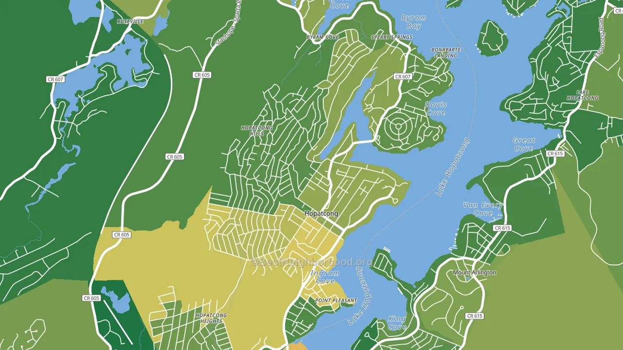07843, NJ block-group voter-turnout map
