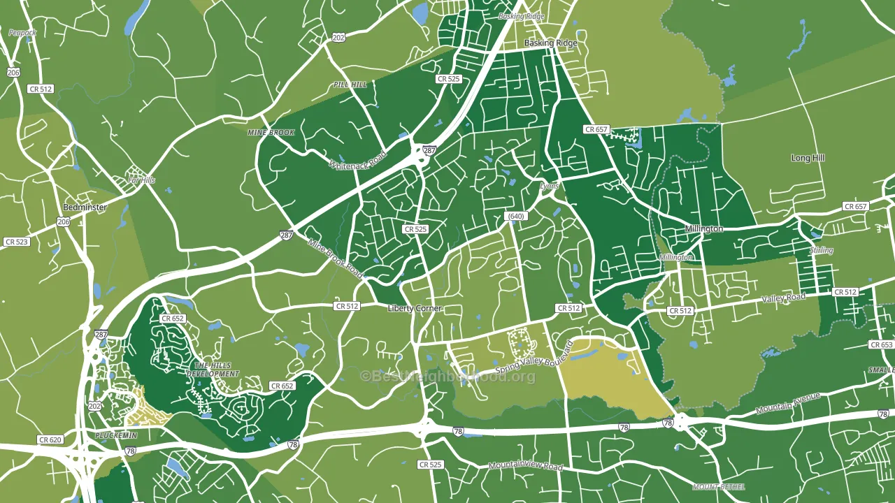 07920, NJ block-group voter-turnout map
