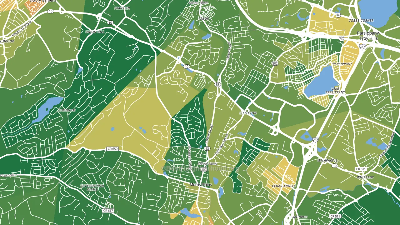 07950, NJ block-group voter-turnout map