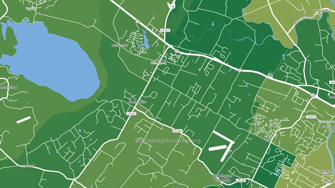 08889, NJ block-group voter-turnout map