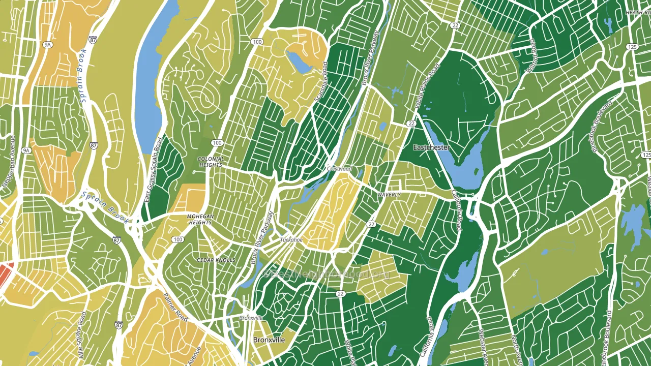 10707, NY block-group voter-turnout map