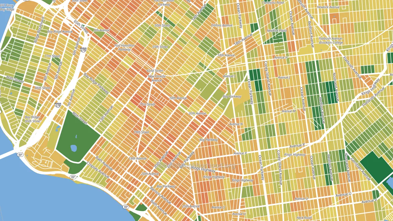 11204, NY block-group voter-turnout map