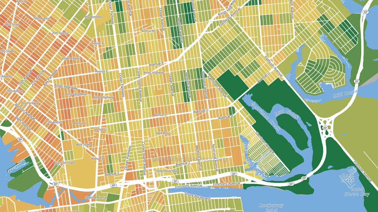 11229, NY block-group voter-turnout map
