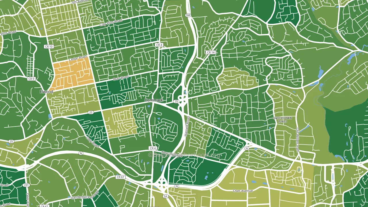 11725, NY block-group voter-turnout map