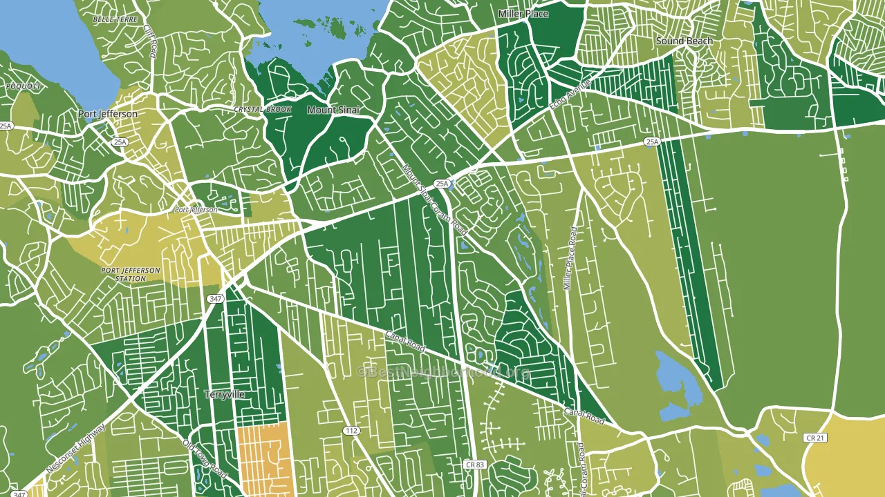 11766, NY block-group voter-turnout map