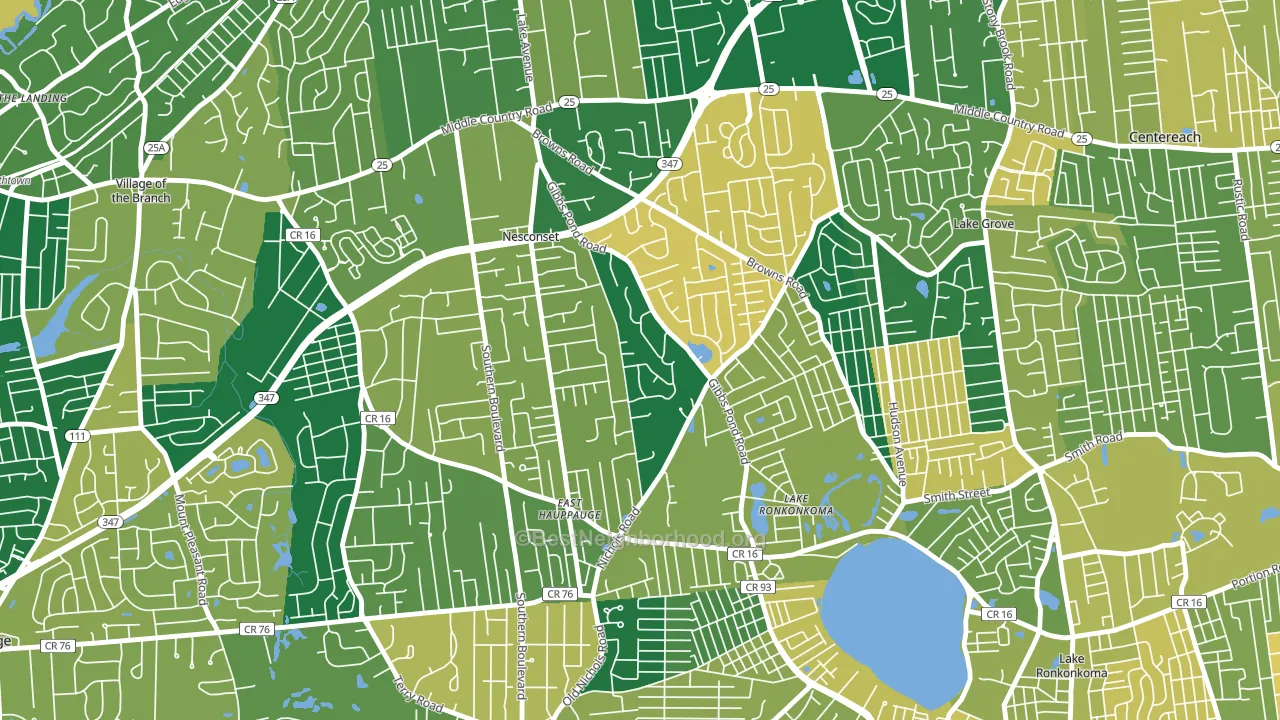 11767, NY block-group voter-turnout map
