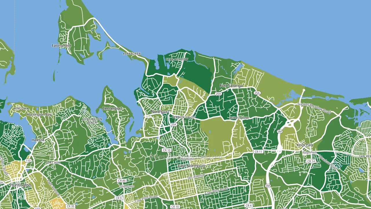 11768, NY block-group voter-turnout map