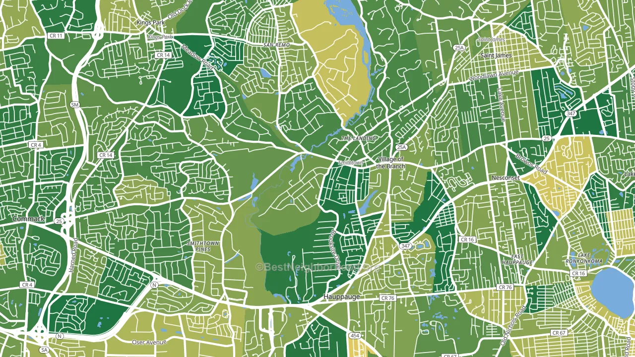 11787, NY block-group voter-turnout map