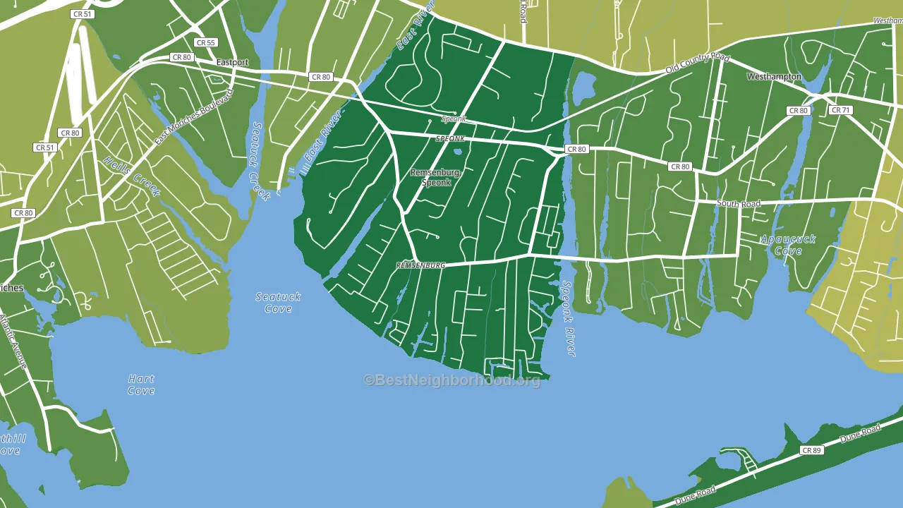 11960, NY block-group voter-turnout map