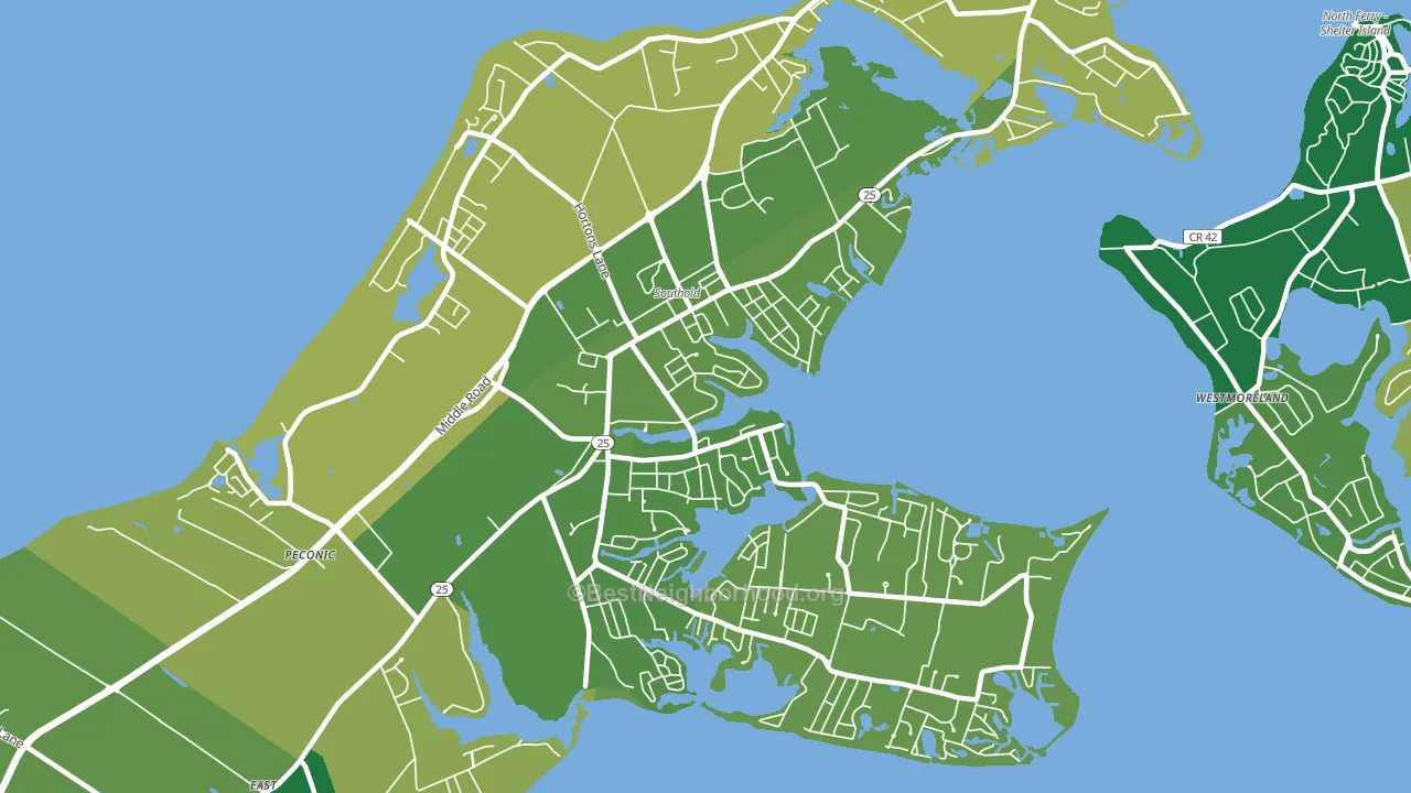 11971, NY block-group voter-turnout map