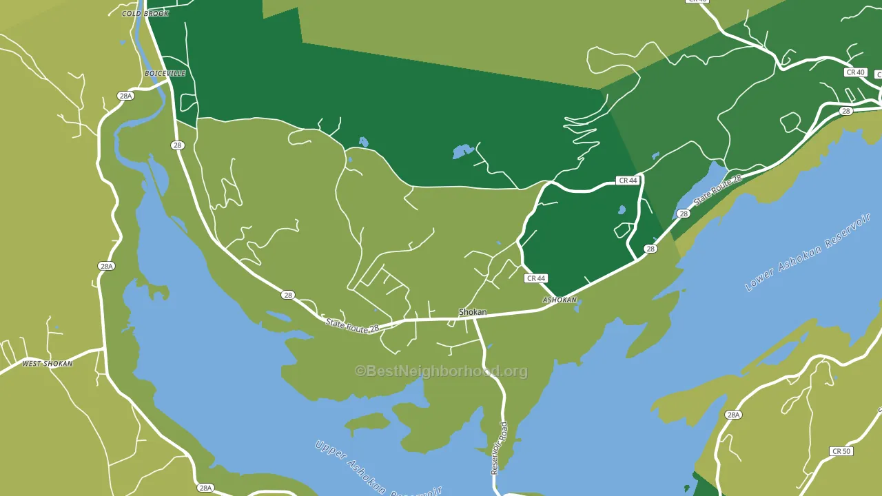 12481, NY block-group voter-turnout map