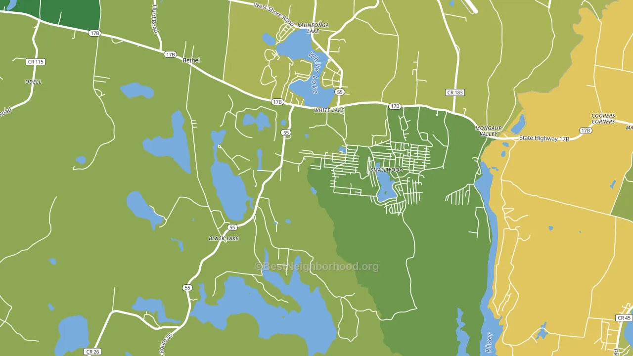 12786, NY block-group voter-turnout map
