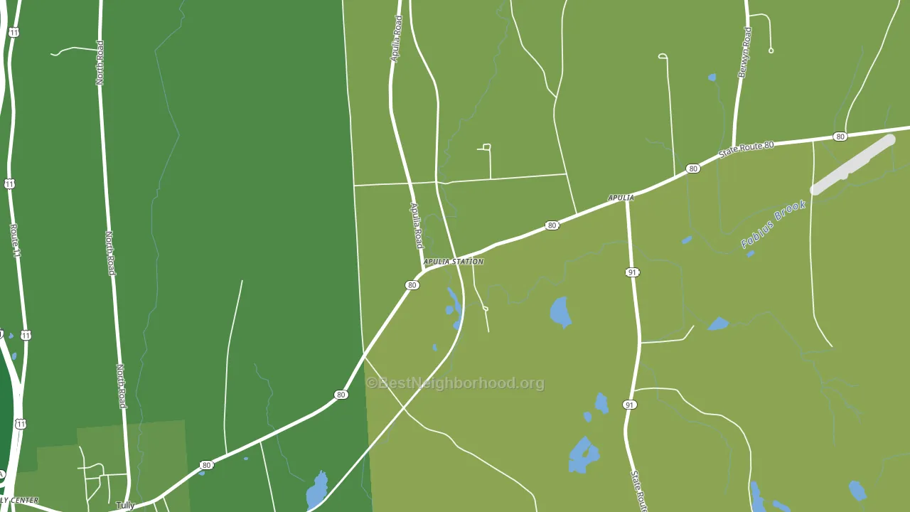 13020, NY block-group voter-turnout map