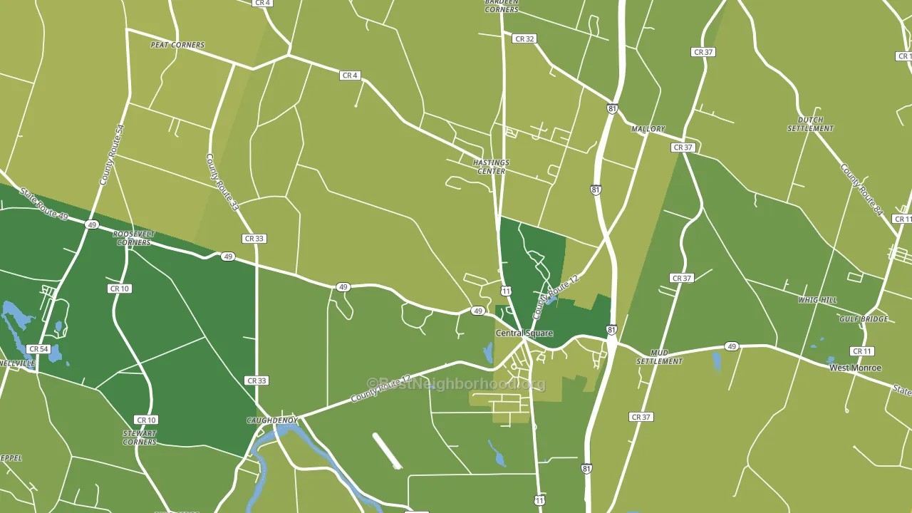 13036, NY block-group voter-turnout map