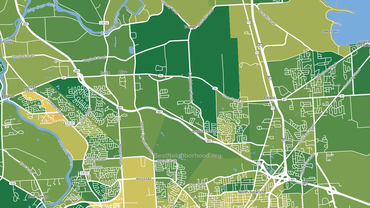 13041, NY block-group voter-turnout map