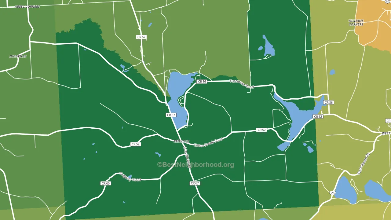 13061, NY block-group voter-turnout map