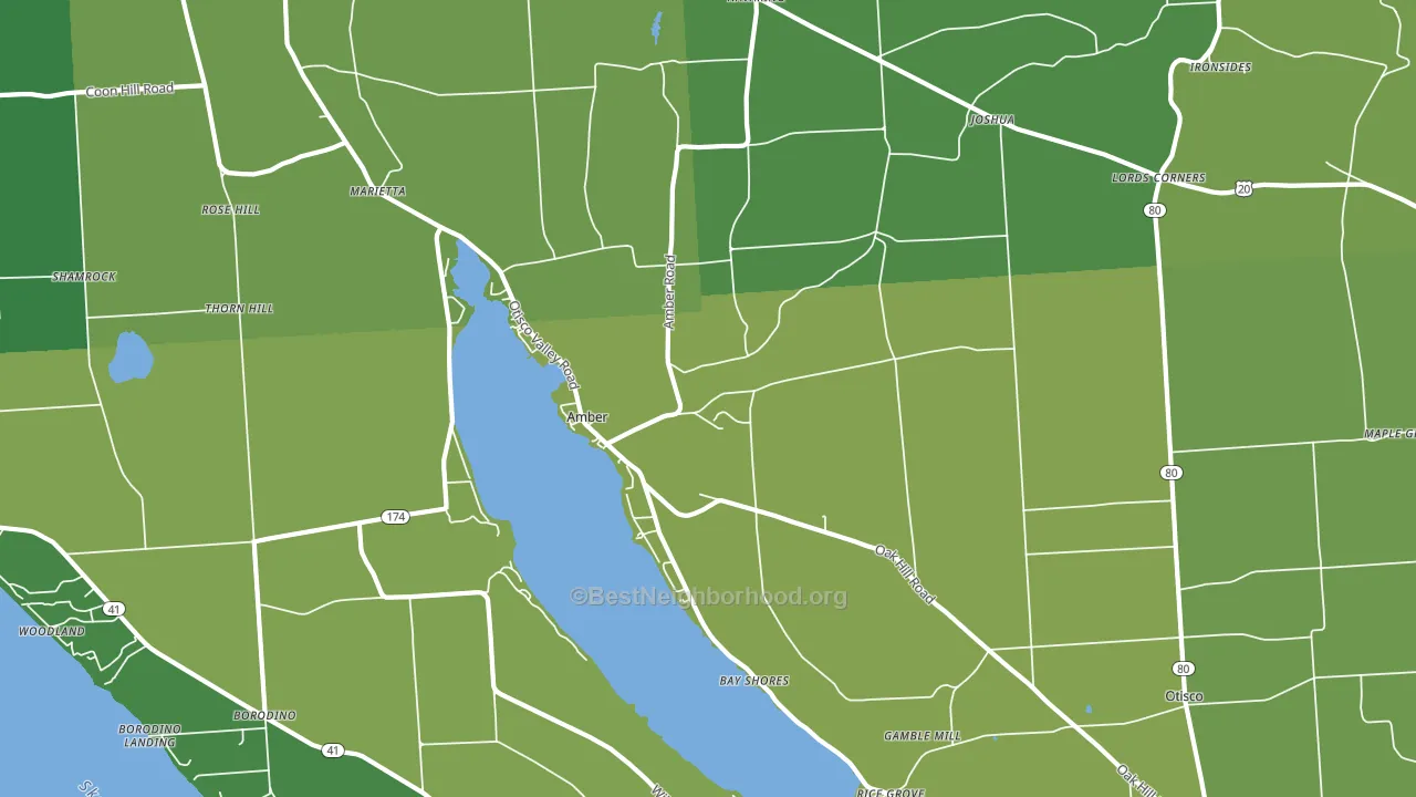 13110, NY block-group voter-turnout map