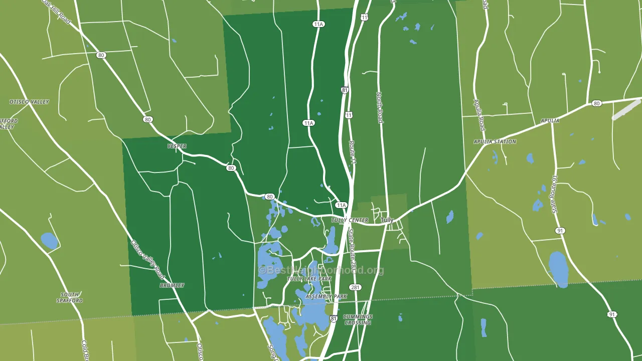 13159, NY block-group voter-turnout map