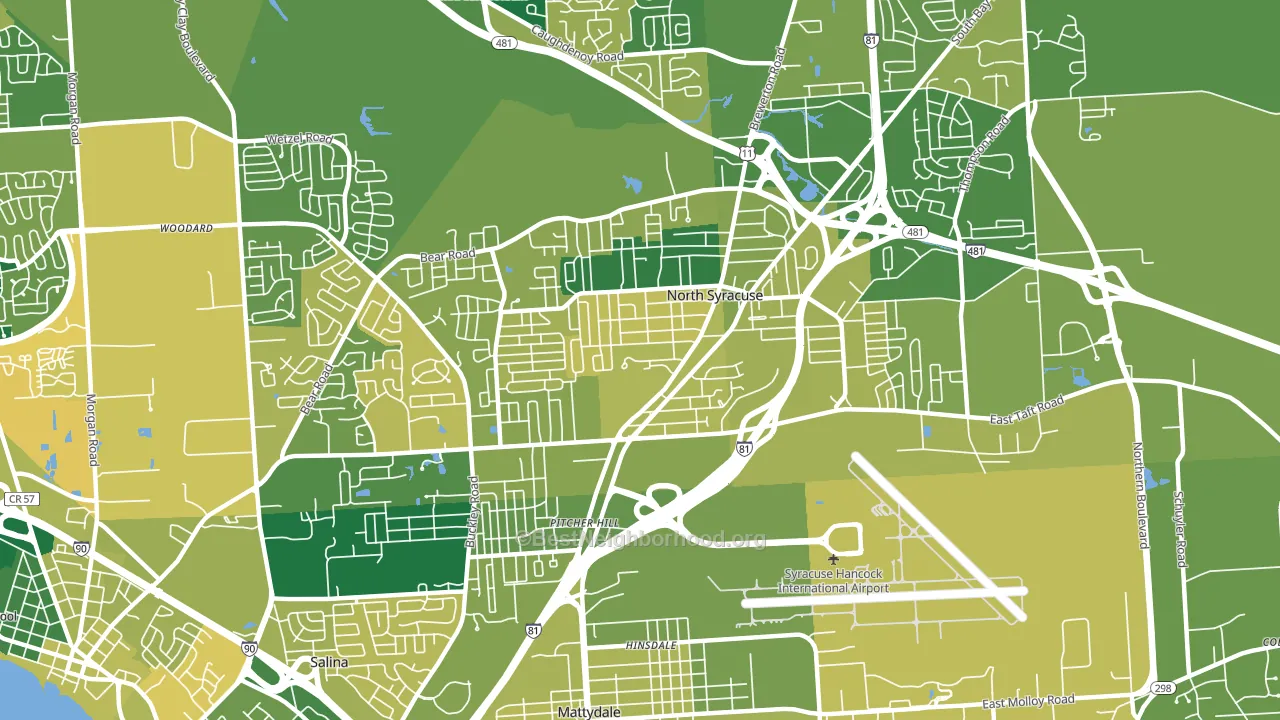 13212, NY block-group voter-turnout map