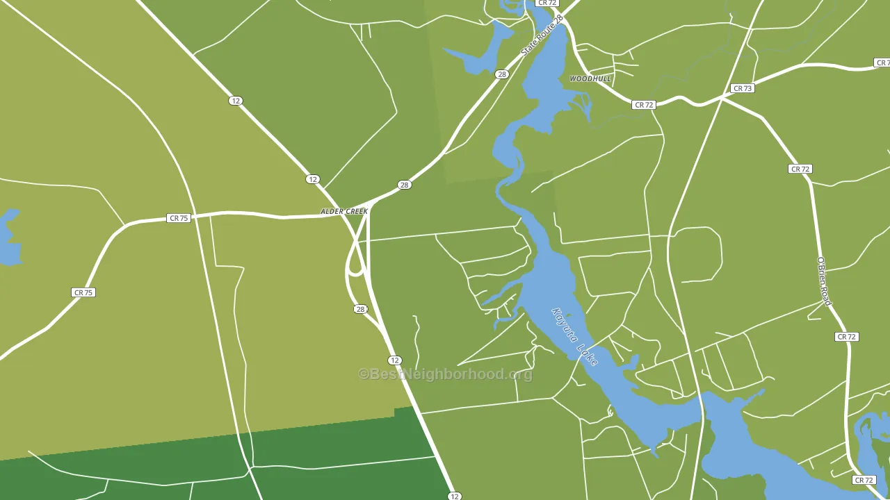 13301, NY block-group voter-turnout map