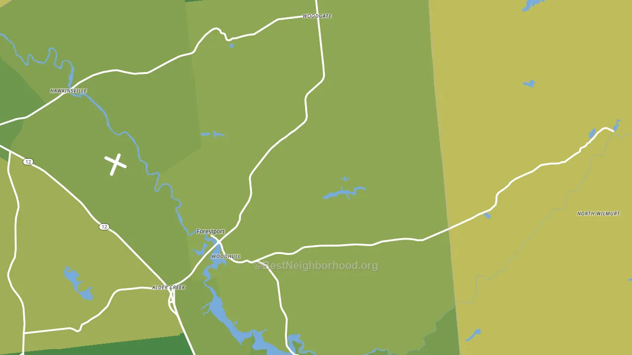 13338, NY block-group voter-turnout map
