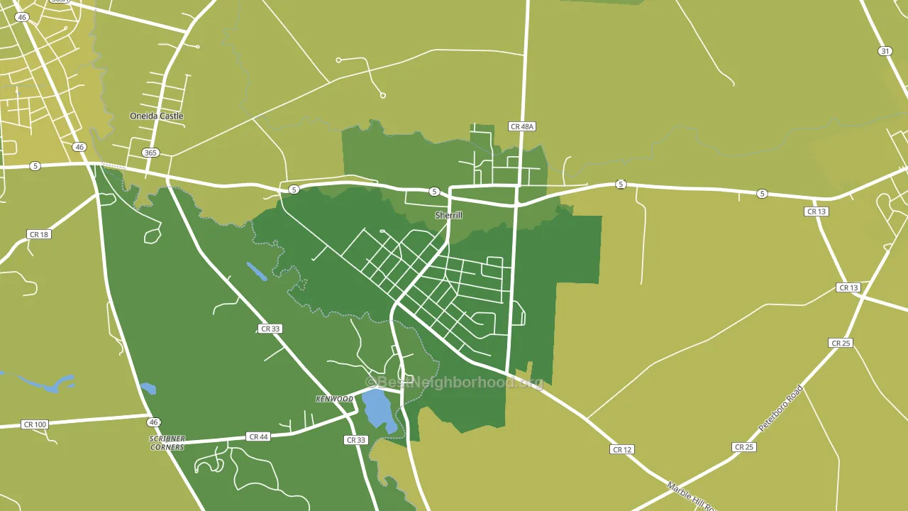 13461, NY block-group voter-turnout map