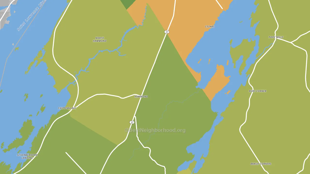 13646, NY block-group voter-turnout map