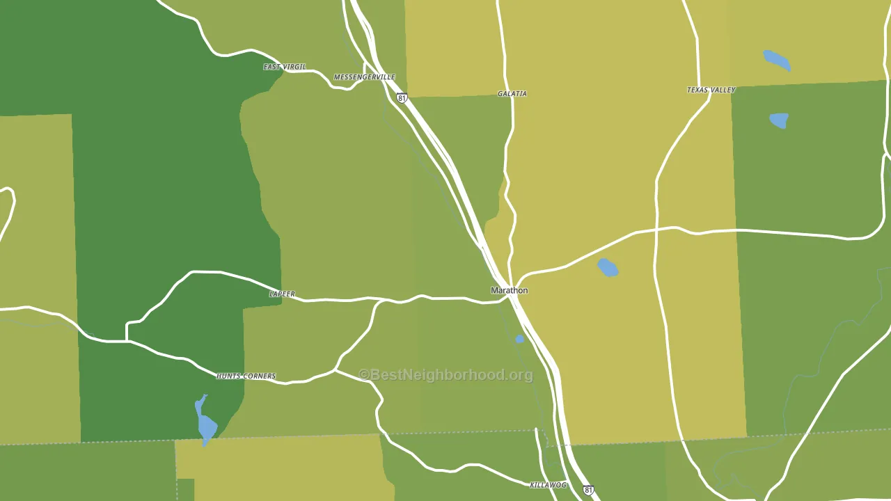 13803, NY block-group voter-turnout map