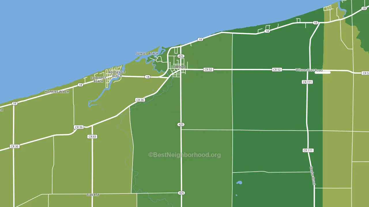 14172, NY block-group voter-turnout map