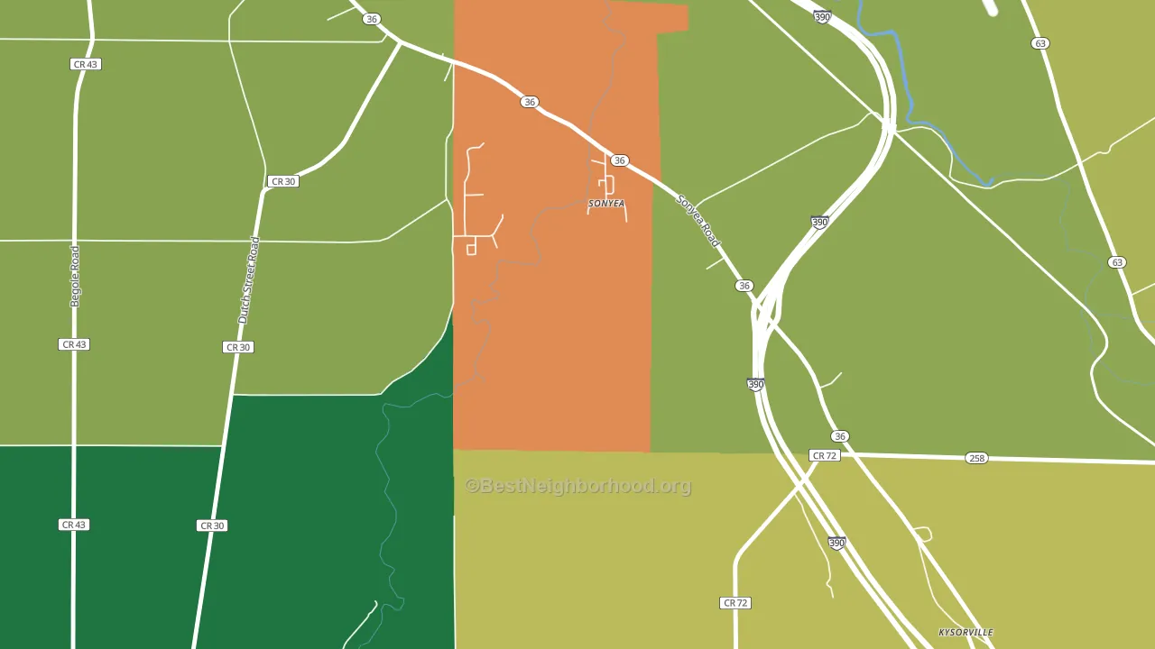 14556, NY block-group voter-turnout map