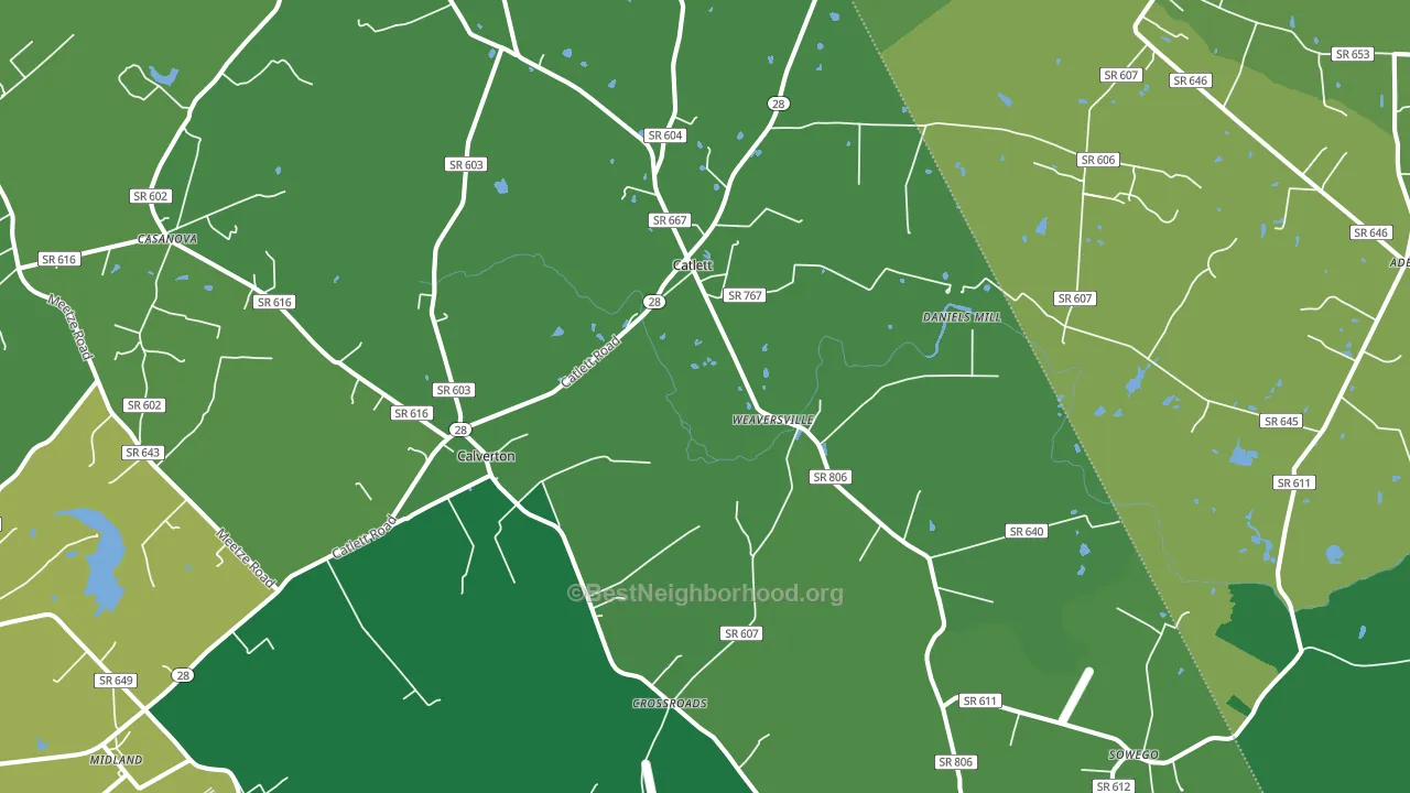 20119, VA block-group voter-turnout map