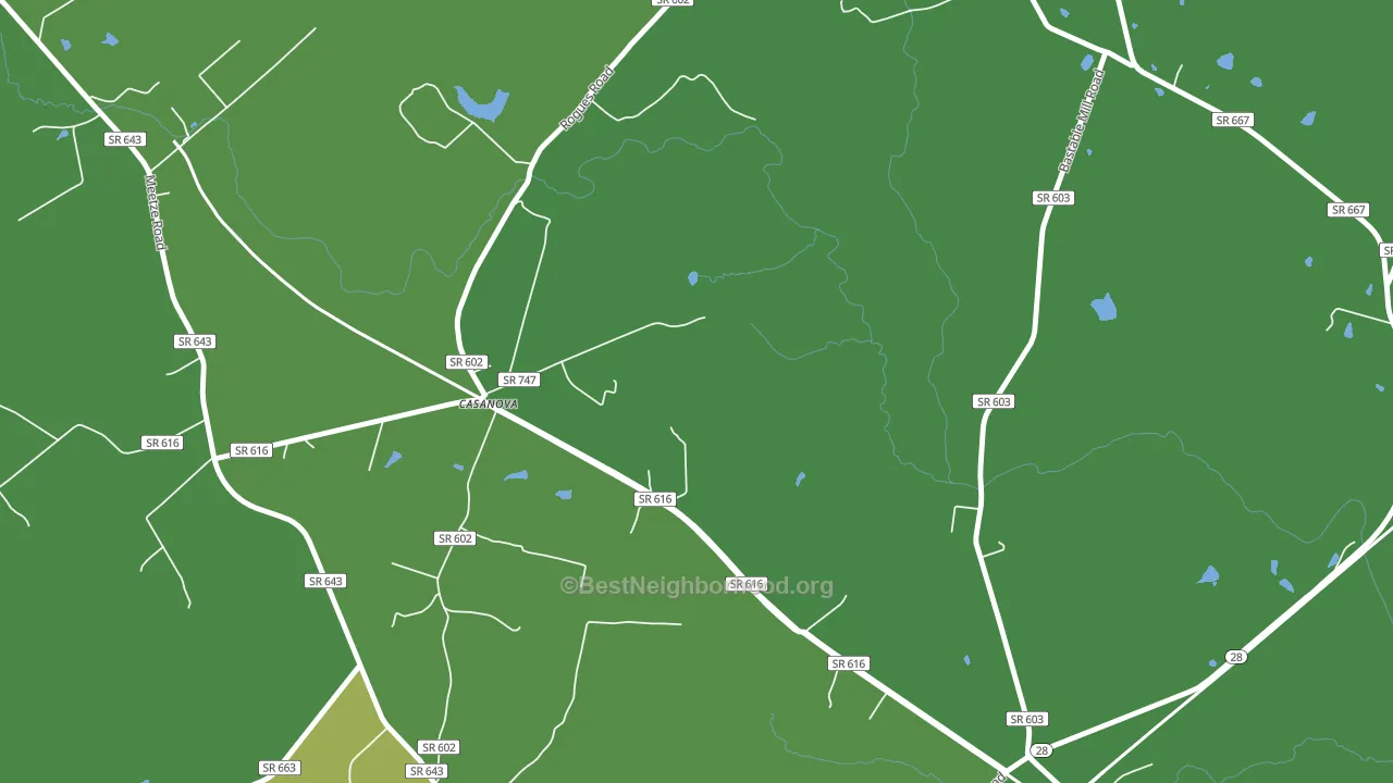 20139, VA block-group voter-turnout map