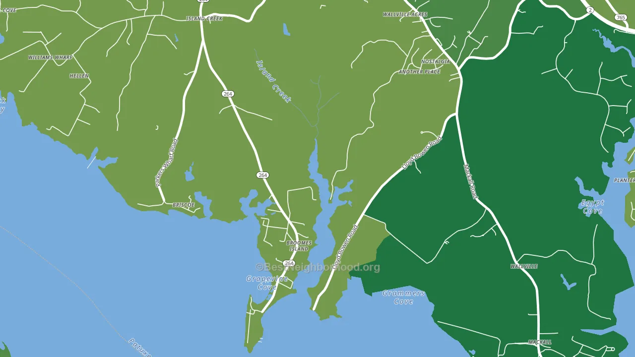 20615, MD block-group voter-turnout map