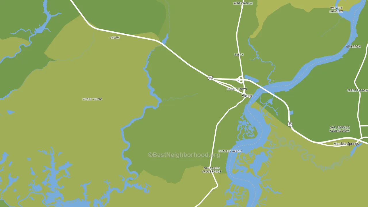 21869, MD block-group voter-turnout map