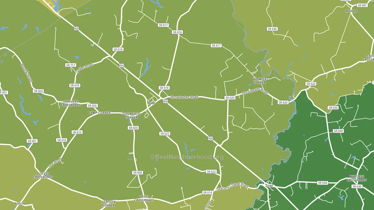 23866, VA block-group voter-turnout map