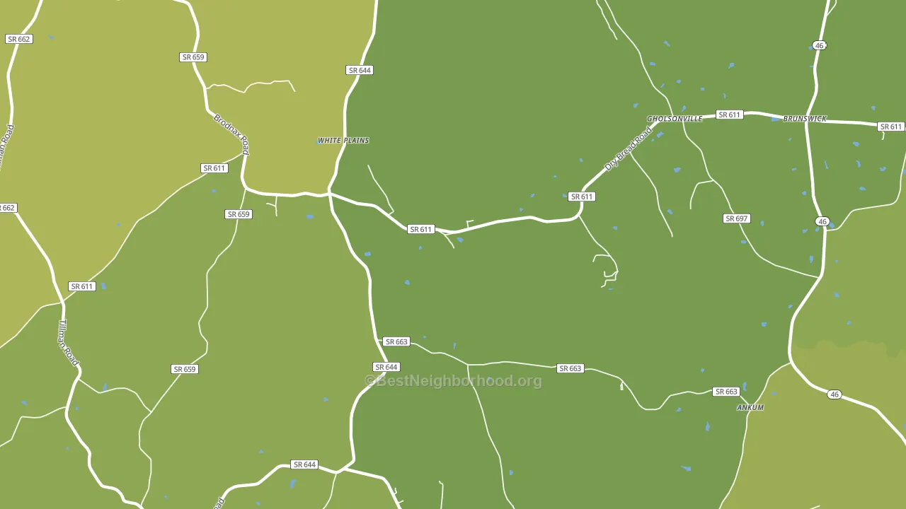 23893, VA block-group voter-turnout map